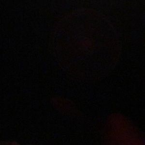 Meet your Posher, Benjamin